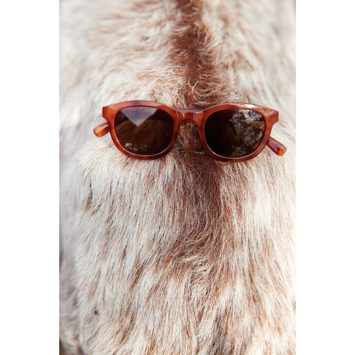Ruben Sunglasses 1-3 Y